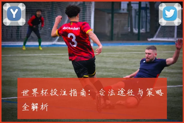 世界杯投注指南:合法途径与策略全解析