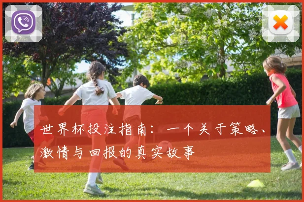 世界杯投注指南：一个关于策略、激情与回报的真实故事