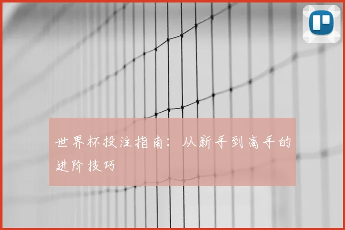 世界杯投注指南:从新手到高手的进阶技巧