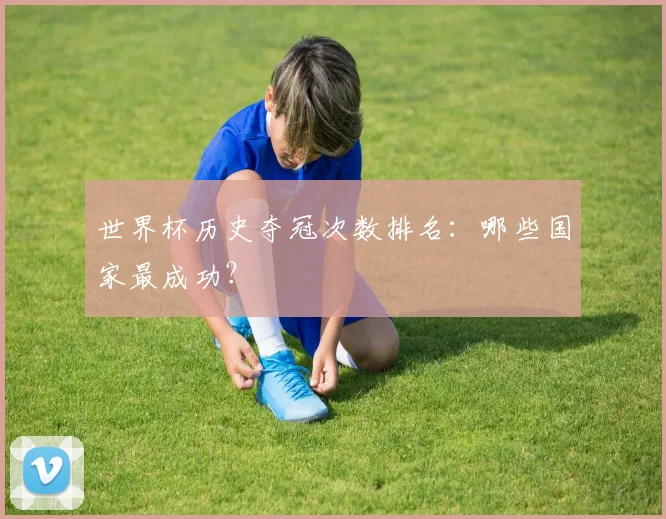 世界杯历史夺冠次数排名：哪些国家最成功？