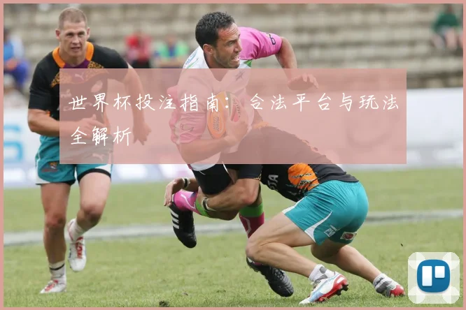 世界杯投注指南：合法平台与玩法全解析