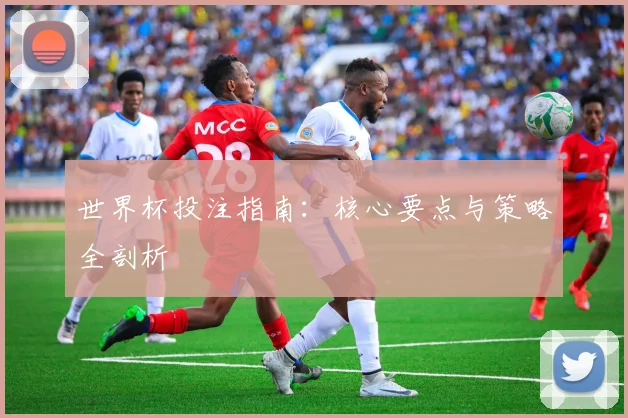 世界杯投注指南:核心要点与策略全剖析