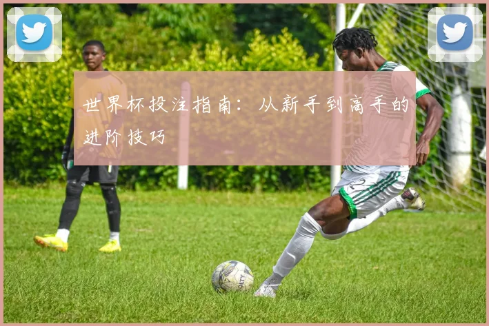 世界杯投注指南:从新手到高手的进阶技巧
