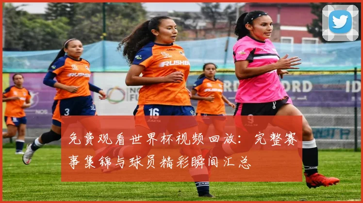 免费观看世界杯视频回放：完整赛事集锦与球员精彩瞬间汇总