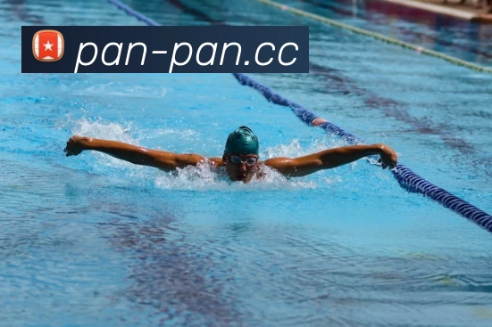 开云app在线入口平台生态图