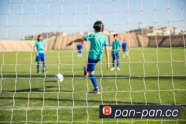 开云app在线入口全站App